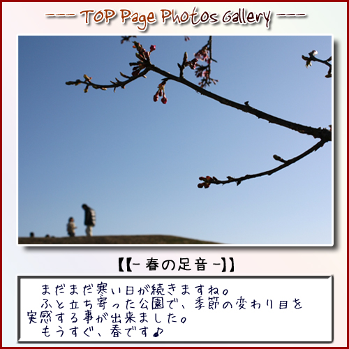 TOPPAGE-PhotoGallery-4